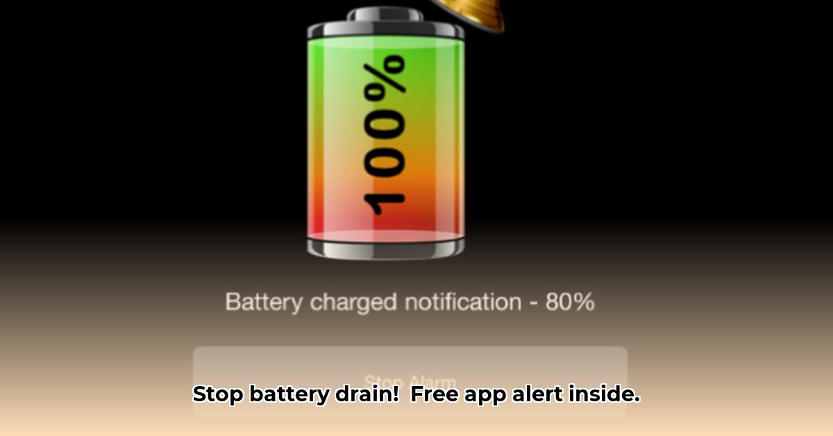 battery-100-alarm